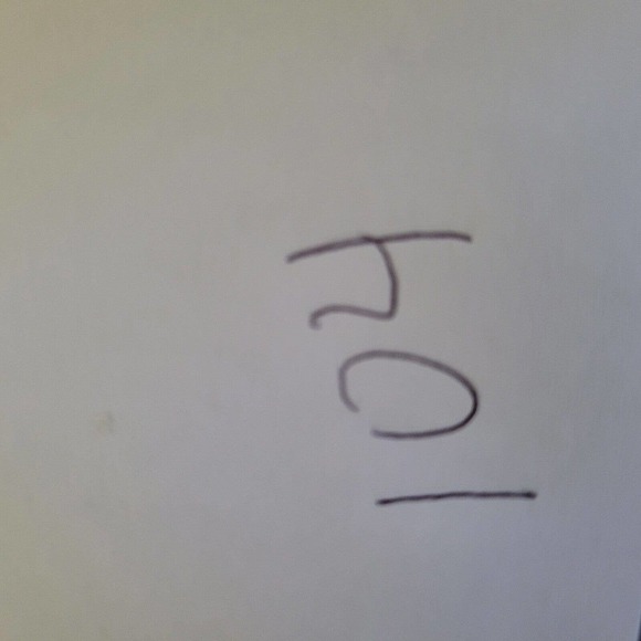 Retro Save The Rainforest T Shirt Green Womens Size Medium Hanes Animal Graphic - Picture 9 of 9